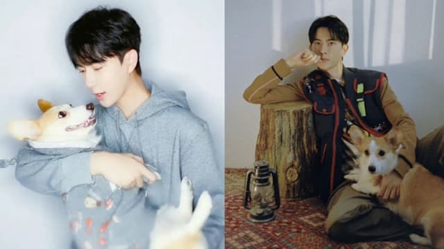 宠物也遭毒手？传于朦胧生前2爱犬已死亡，暗网上有虐杀视频？