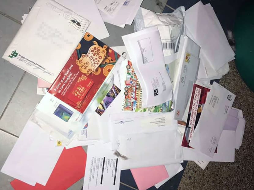 Facebook user Alyce Kathlyn posted a series of photos on Monday night (Jan 28), showing unopened letters from government agencies such as the Land Transport Authority and the Ministry of Health's Community Health Assist Scheme, addressed to residents of Ang Mo Kio Avenue 4 and 5, all lying in public dustbins. Facebook user Alyce Kathlyn posted a series of photos on Monday night (Jan 28), showing unopened letters from government agencies such as the Land Transport Authority and the Ministry of Health's Community Health Assist Scheme, addressed to residents of Ang Mo Kio Avenue 4 and 5, all lying in public dustbins.