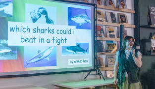 Slideshow and tell: Why PowerPoint parties are addictively fun – and here to stay