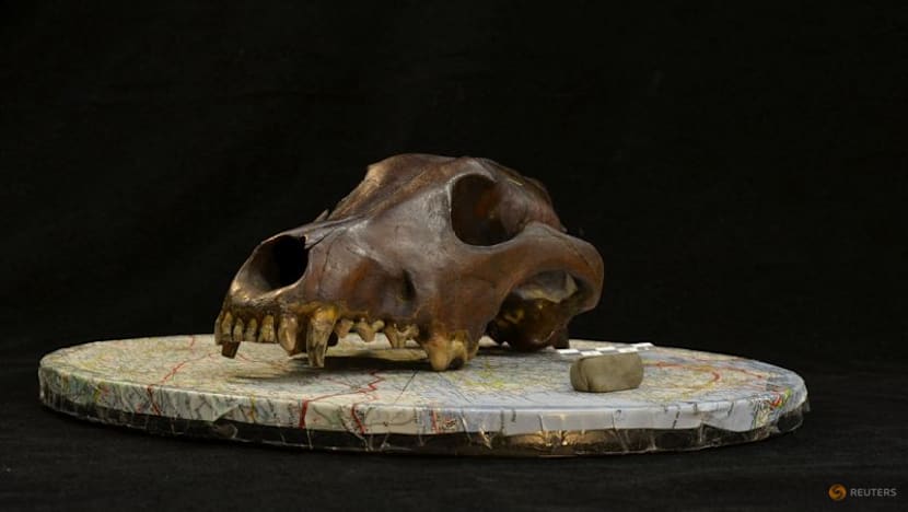 Doggie diversity in size and shape began at least 11,000 years ago