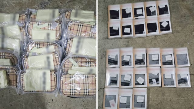 移民局捣毁企图走私案 起获200多件疑似冒牌货