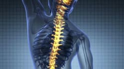 Related article image