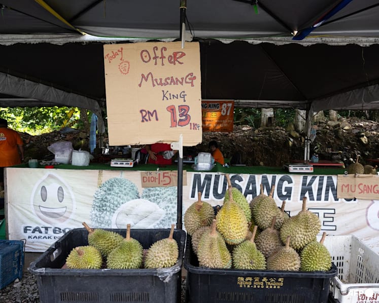 'Durians don't wait for you': Sellers in Singapore say prices have started to rise again