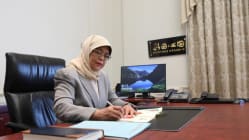 Related article image