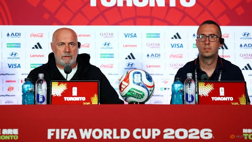 Bosnia will play with hearts in World Cup opener, says coach Barbarez