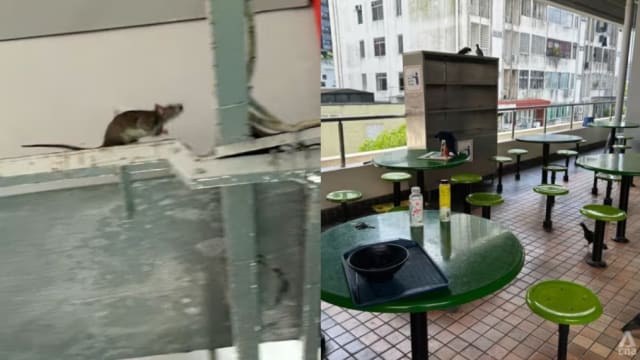 天花板和公共区发现老鼠滋生处 当局对美世界熟食中心展开调查