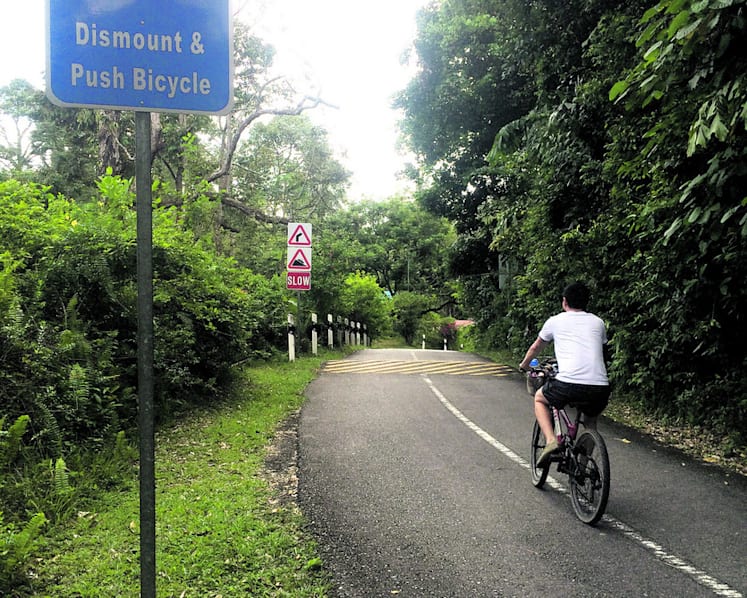 NParks eyes first-aid facility on Pulau Ubin