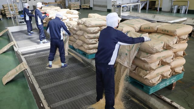 日本米价翻倍 政府将再从紧急储备中发放20万公吨白米