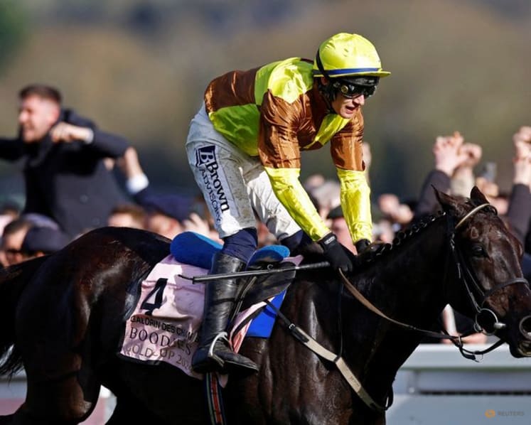 Horse racing-Double Gold Cup winner Galopin Des Champs dies after field injury