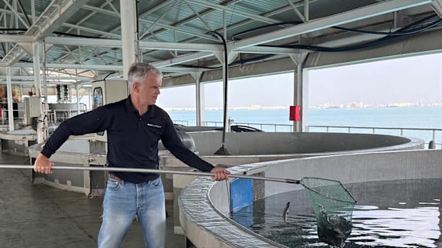 本地高科技农业寻求突围 有农场无奈关闭盼重启