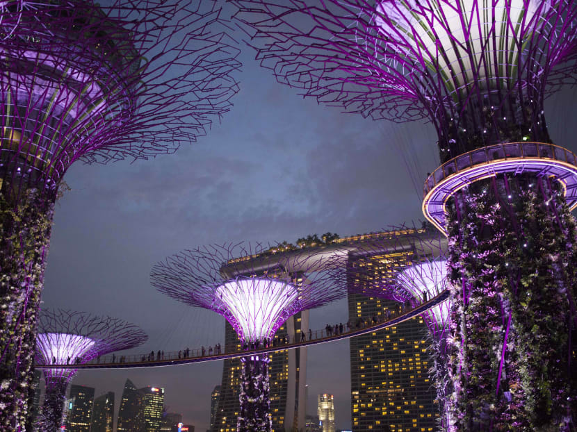 Singapore on the map in Planet Earth II