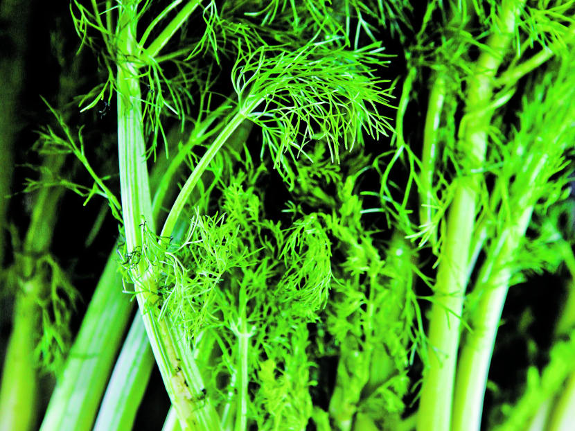 10 things you never thought you’d find at the wet market