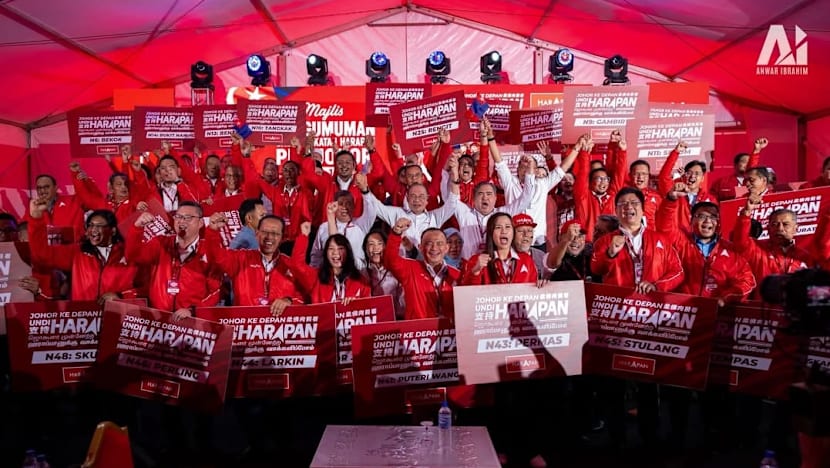 Johor state polls: PM Anwar’s PH coalition unveils candidates, including former education minister Maszlee Malik