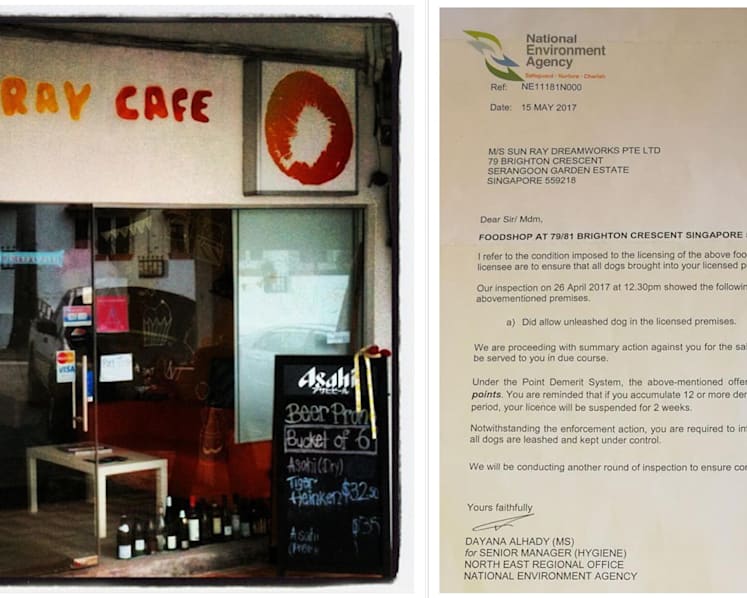 Dog fight at pet-friendly cafe stirs debate about leashing dogs at such places