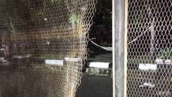 Related article image