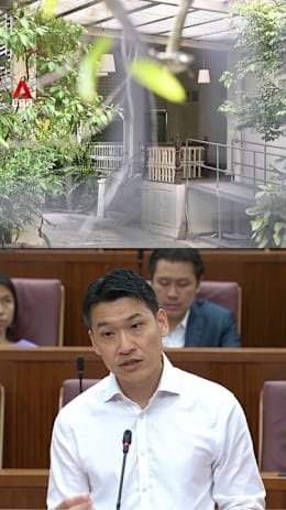 Preserving 38 Oxley Road site will prevent private parties buying site for association with LKY