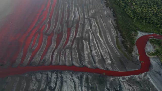 阿根廷河流变血红色 居民：曾见过蓝绿紫粉色