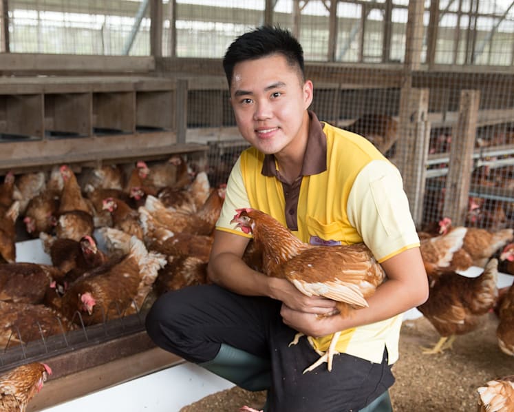 Egg supplier gets S$27 million DBS loan to build farm; conditions apply