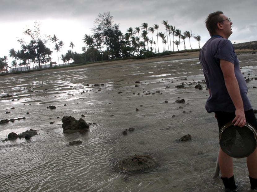 Searching the coast for marine life