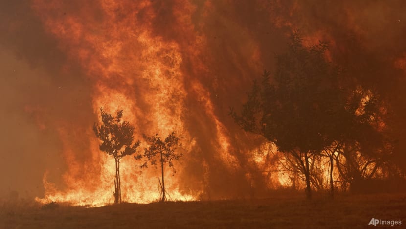 Spain to probe whether wildfire-hit towns drafted prevention plans