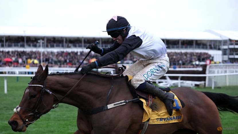 Horse racing-Unhappy Mullins threatens to stop bringing best horses to Cheltenham