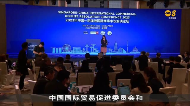 唐振辉：新中法律领域合作仍有发展空间 可相互合作