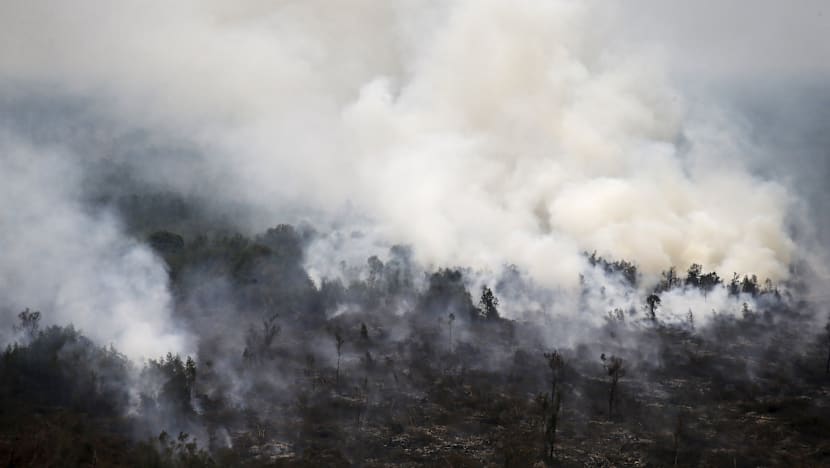 Indonesia's hazy skies worsen as forest burning continues