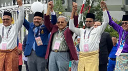 Related article image