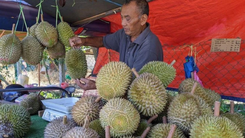 Eksport durian segar ke China tidak jejas pasaran Malaysia
