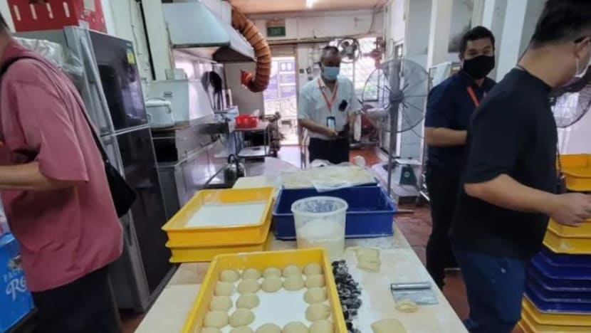 Pemegang lesen pengeluar makanan didenda S$4,000 atas serangan serangga yang 'serius'