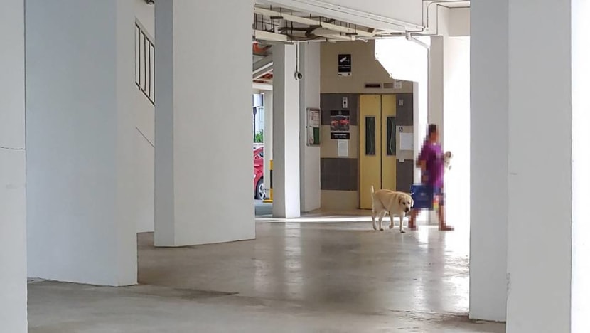 Moving your maid from domestic chores to helping your business: A legal issue