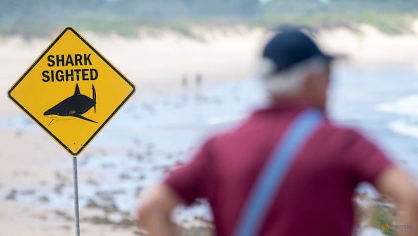 Australian boy dies after shark attack in Sydney Harbour