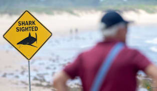 Kanak-kanak lelaki maut diserang jerung di Sydney