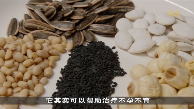 狮城有约 | 生活小学堂：种仁类药材有何益处？