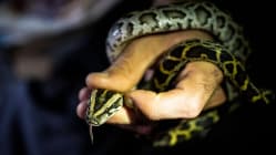 Related article image