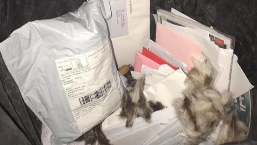 Postman who threw away mail in Ang Mo Kio has special needs: IMDA