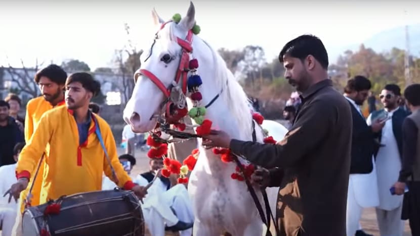 Pakistan’s brain drain at a ‘level of panicking’ as youths leave in droves, say experts Pakistan’s brain drain at a ‘level of panicking’ as youths leave in droves, say experts