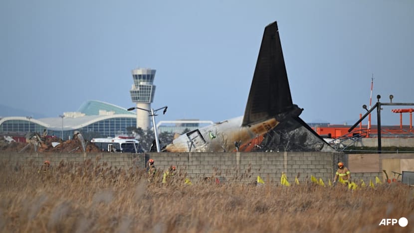 South Korea plane crash victims would have lived but for runway barrier: Simulation