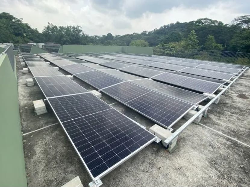 Solar panels installed above the animal quarantine building at Mandai.