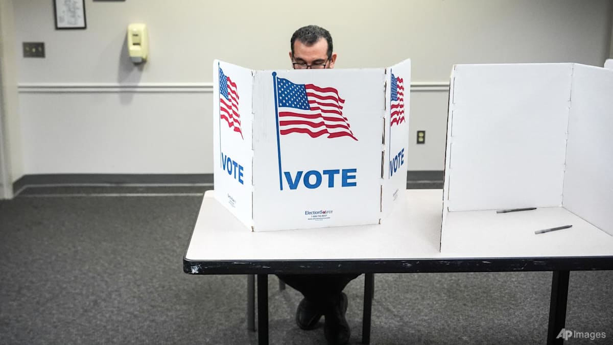 Virginia backs new voting map in redistricting fight with Trump