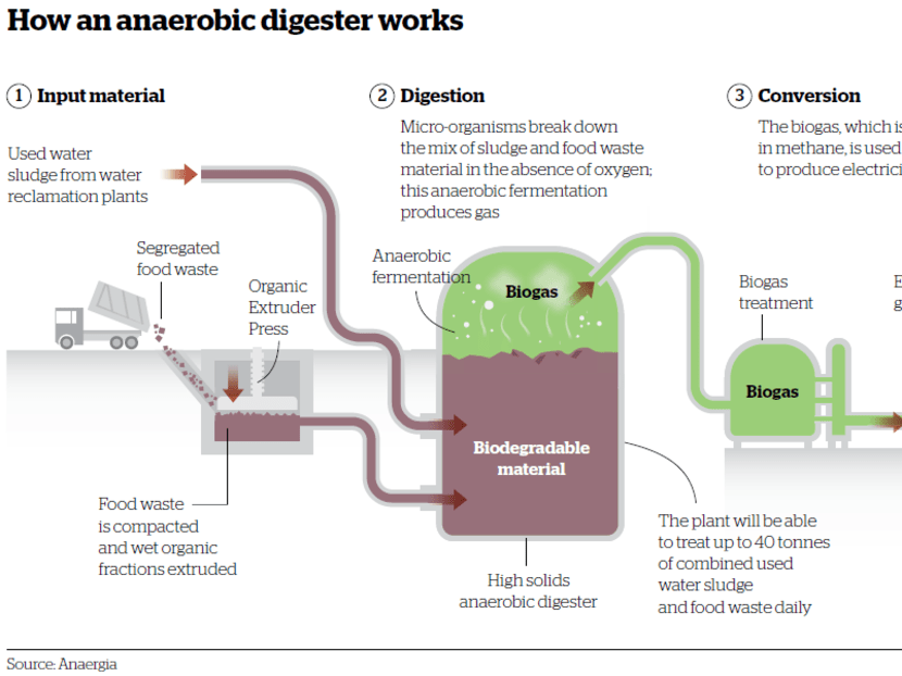 S’pore to use food waste to boost energy creation
