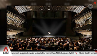 New 1,000-seater Theatre at Tanglin fills a missing middle gap: Arts groups