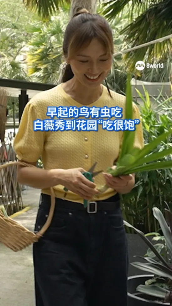 20251018_ACWM_pandan