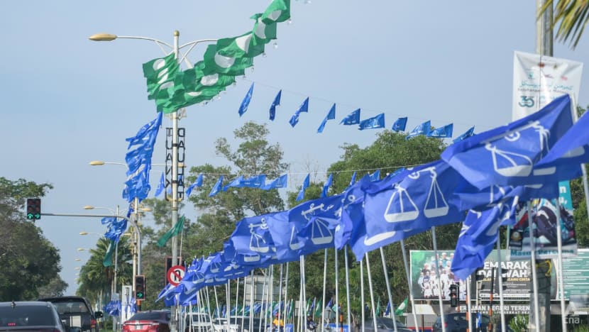 Malaysia state polls: Political parties target youth vote to win in Terengganu Malaysia state polls: Political parties target youth vote to win in Terengganu