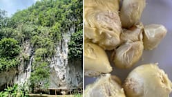 GEN KAKI CUTI: Menikmati keindahan alam semula jadi Perak dan durian lemak Batu Kurau