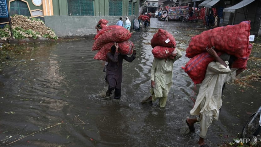 Pakistan floods: Better planning could have limited loss of life, immediate concerns include food security, say experts Pakistan floods: Better planning could have limited loss of life, immediate concerns include food security, say experts