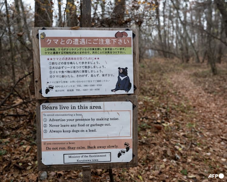 Japan loosens gun rules as bear attacks rise