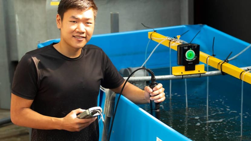 Learning the business – and joy – of farming fish