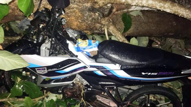 马国夫妻暴雨中骑车遇树倒 孕妻胎死腹中