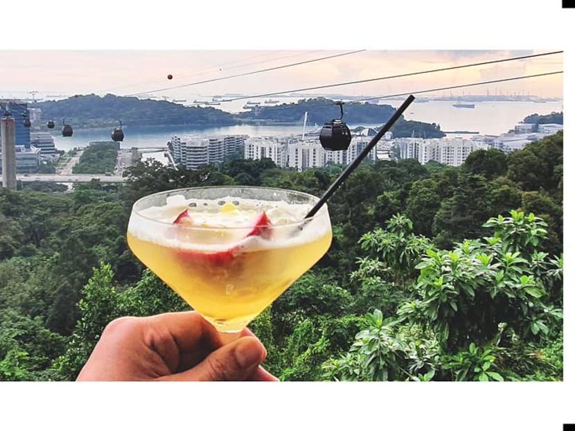 Come &lsquo;fly&rsquo; with me: What it&rsquo;s like on board SIA&rsquo;s cable car dining experience